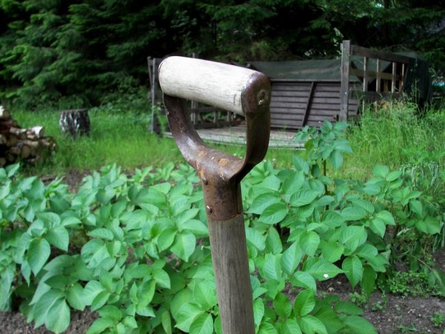 spade-1388523.jpg